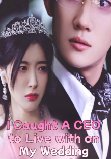 I Caught a CEO to Live With on My Wedding Escape Day